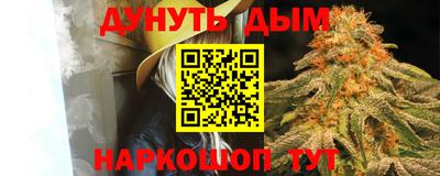 шишки Моздок
