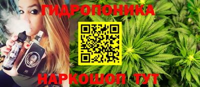 шишки Моздок