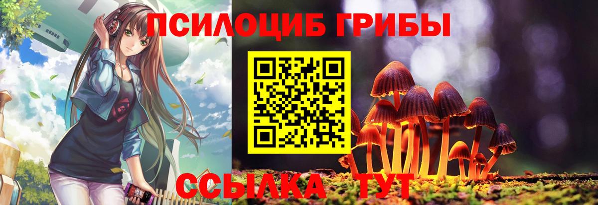 Галлюциногенные грибы мицелий Гусь-Хрустальный